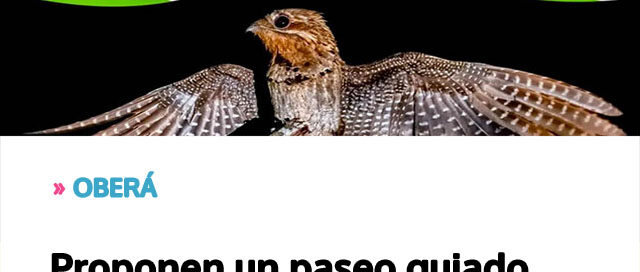 Proponen un paseo guiado nocturno para descubrir otra faceta del Jardín Botánico